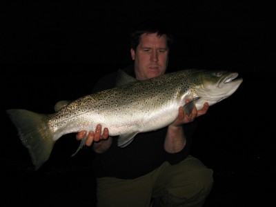 Justin Harrington's 22.07 Chew Brownie